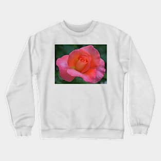 A Rose in June Crewneck Sweatshirt